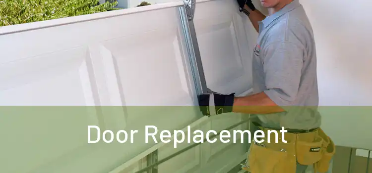  Door Replacement 